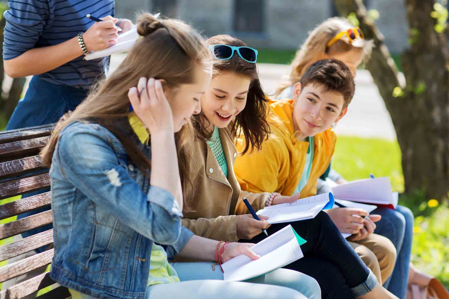 Students Studying Outside